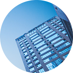 2024新澳门免费原料大全