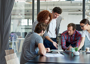 2024新澳门免费原料大全