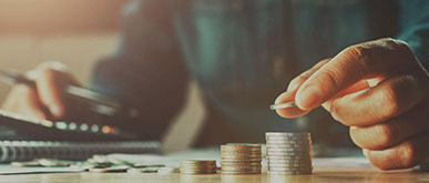 2024新澳门免费原料大全