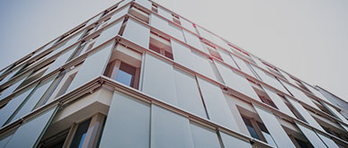 2024新澳门免费原料大全