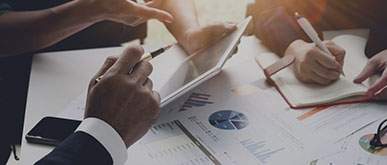 2024新澳门免费原料大全