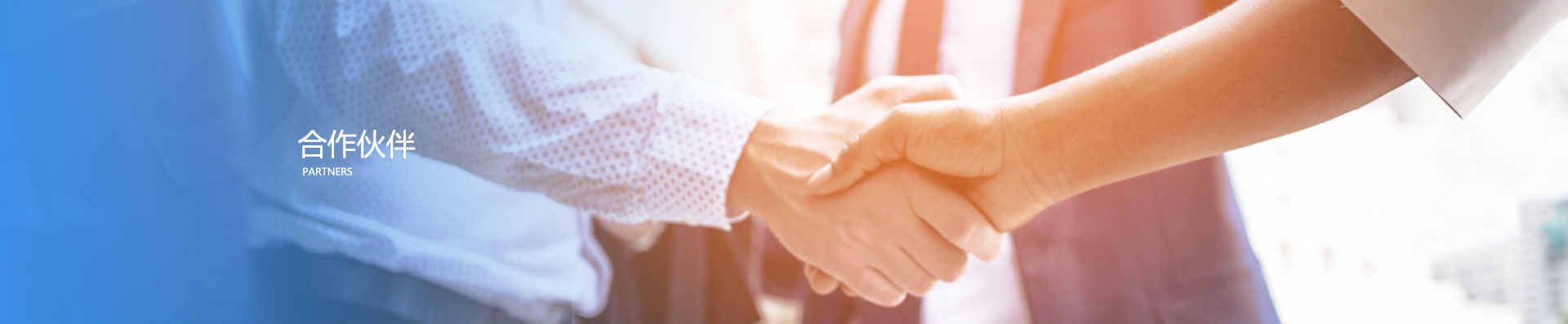 2024新澳门免费原料大全